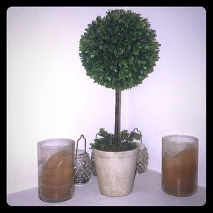 Beautiful Green Topiary! 19 inches tall!